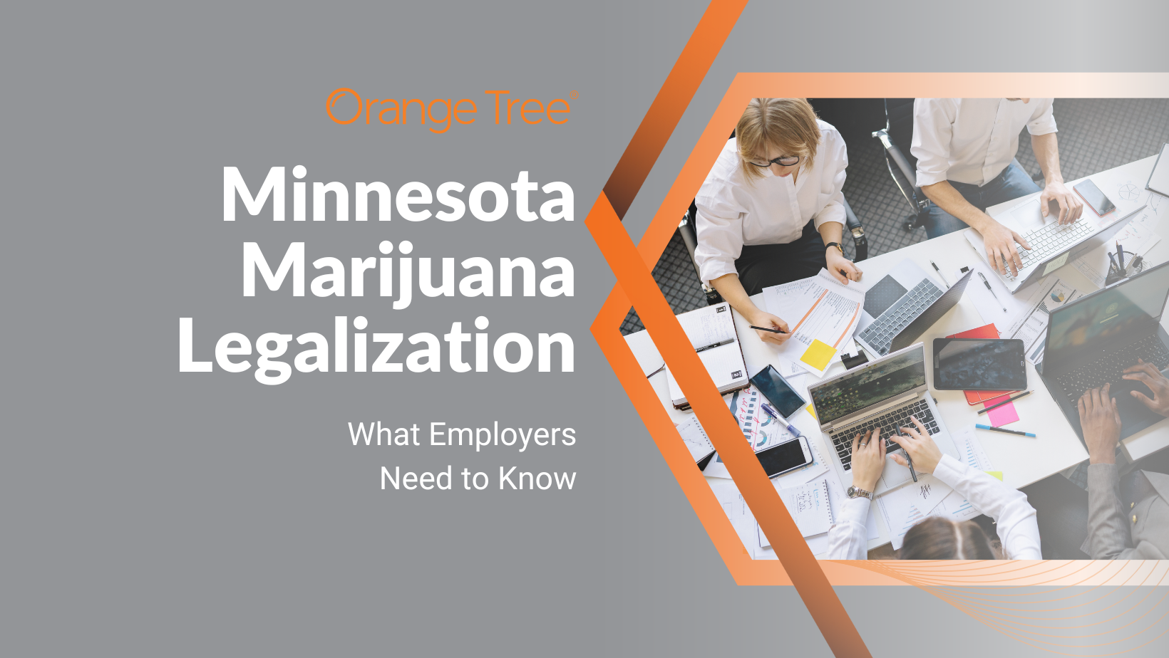 Minnesota Marijuana Legalization | Orange tree  
